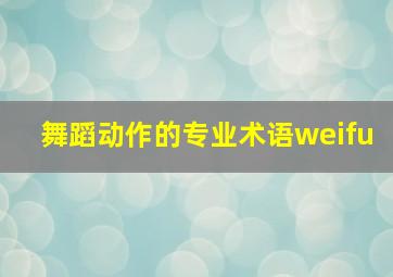 舞蹈动作的专业术语weifu