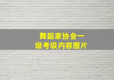 舞蹈家协会一级考级内容图片