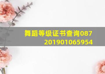 舞蹈等级证书查询087201901065954