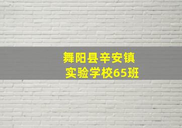 舞阳县辛安镇实验学校65班