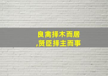 良禽择木而居,贤臣择主而事