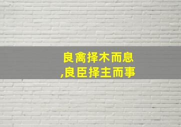 良禽择木而息,良臣择主而事