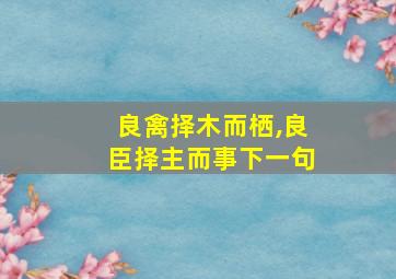 良禽择木而栖,良臣择主而事下一句