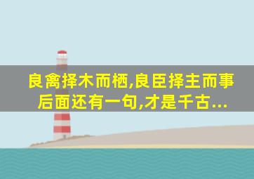 良禽择木而栖,良臣择主而事后面还有一句,才是千古...