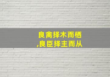 良禽择木而栖,良臣择主而从