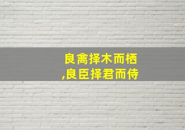 良禽择木而栖,良臣择君而侍