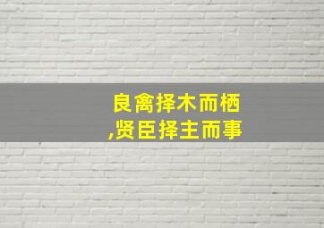 良禽择木而栖,贤臣择主而事