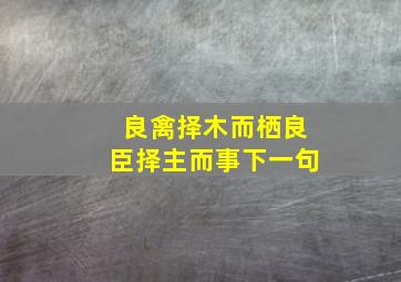 良禽择木而栖良臣择主而事下一句