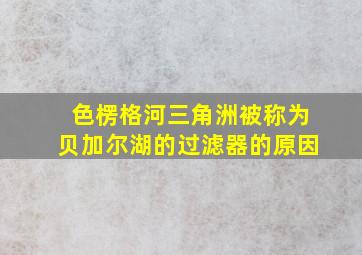 色楞格河三角洲被称为贝加尔湖的过滤器的原因