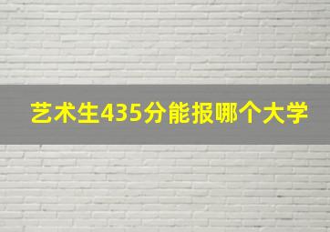 艺术生435分能报哪个大学