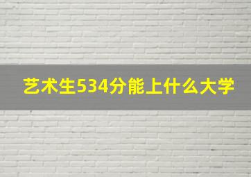 艺术生534分能上什么大学