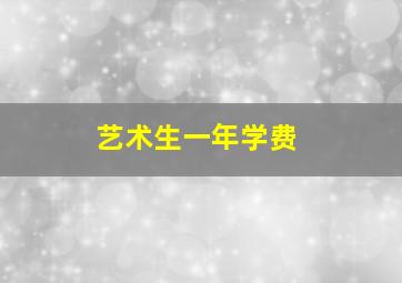 艺术生一年学费