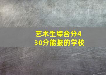 艺术生综合分430分能报的学校