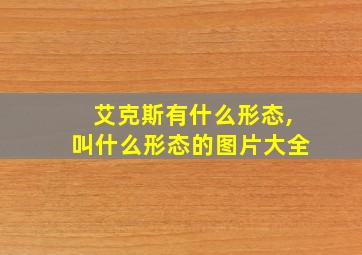 艾克斯有什么形态,叫什么形态的图片大全