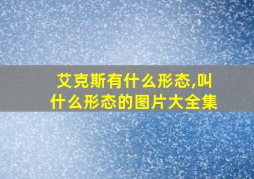 艾克斯有什么形态,叫什么形态的图片大全集