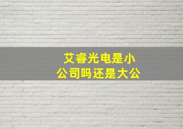 艾睿光电是小公司吗还是大公