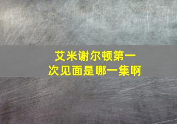 艾米谢尔顿第一次见面是哪一集啊