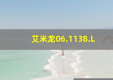 艾米龙06.1138.L