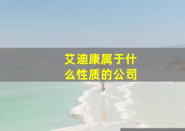 艾迪康属于什么性质的公司