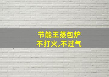 节能王蒸包炉不打火,不过气