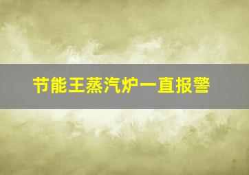 节能王蒸汽炉一直报警