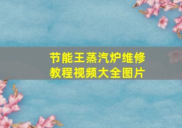 节能王蒸汽炉维修教程视频大全图片