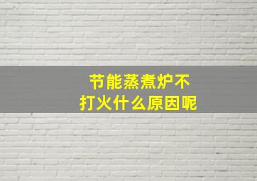 节能蒸煮炉不打火什么原因呢