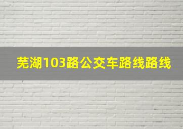 芜湖103路公交车路线路线