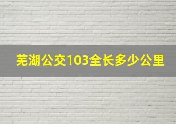 芜湖公交103全长多少公里