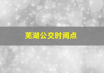 芜湖公交时间点