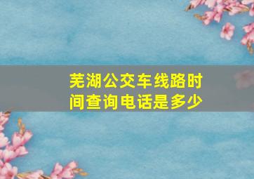 芜湖公交车线路时间查询电话是多少