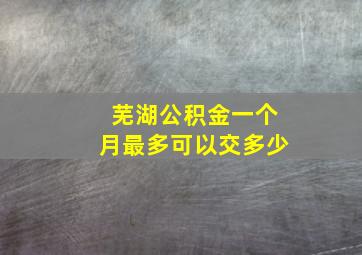 芜湖公积金一个月最多可以交多少