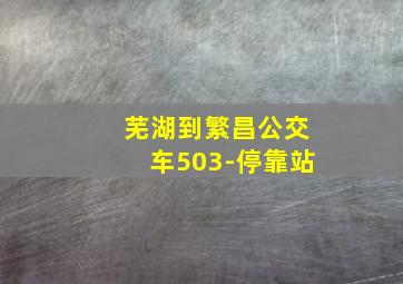 芜湖到繁昌公交车503-停靠站