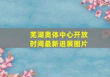 芜湖奥体中心开放时间最新进展图片