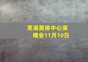 芜湖奥体中心演唱会11月10日