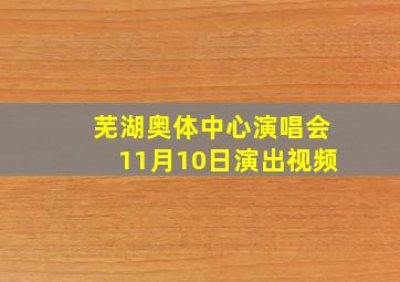 芜湖奥体中心演唱会11月10日演出视频