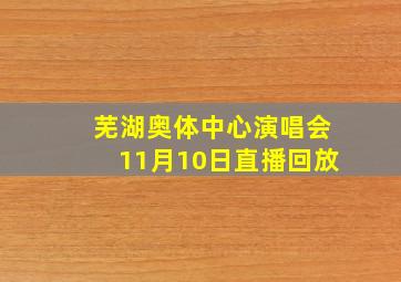 芜湖奥体中心演唱会11月10日直播回放