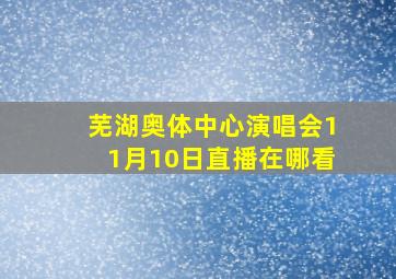 芜湖奥体中心演唱会11月10日直播在哪看