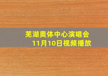 芜湖奥体中心演唱会11月10日视频播放