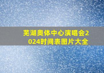 芜湖奥体中心演唱会2024时间表图片大全