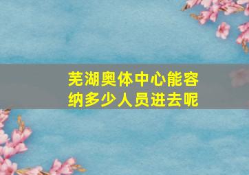 芜湖奥体中心能容纳多少人员进去呢