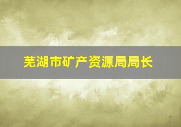 芜湖市矿产资源局局长