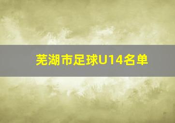 芜湖市足球U14名单