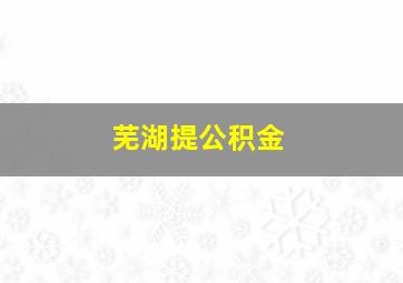 芜湖提公积金