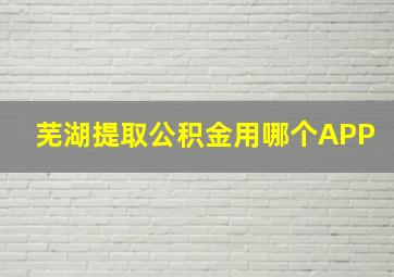 芜湖提取公积金用哪个APP