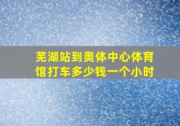 芜湖站到奥体中心体育馆打车多少钱一个小时