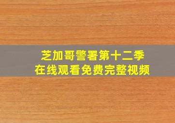 芝加哥警署第十二季在线观看免费完整视频