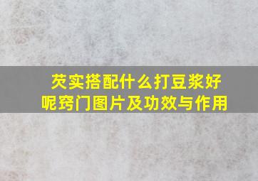 芡实搭配什么打豆浆好呢窍门图片及功效与作用