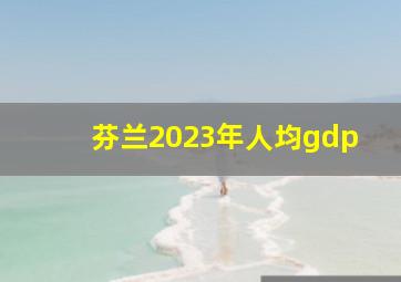 芬兰2023年人均gdp