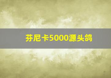 芬尼卡5000源头鸽